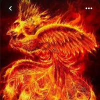 chu tước