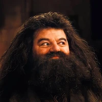 Rubeus Hagrid
