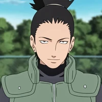 Nara Shikamaru_