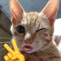 tác giả 
