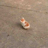 @𝙩𝙖𝙙𝙧𝙚𝙬 ; tau