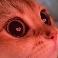 @𝙥𝙘𝙚𝙨𝙖𝙡 ; pis