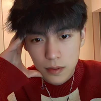 đinh Tuấn Hoàng na9
