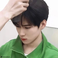 Trương Chân Nguyên