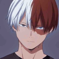 Shoto Todoroki