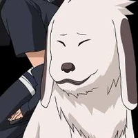 Akamaru