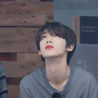 Đinh Trình Hâm