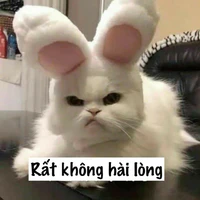 Hệ thống - Usagi
