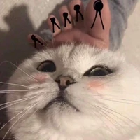 Tác giả cute (⁠｡⁠•̀⁠ᴗ⁠-⁠)⁠✧