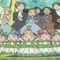 11 công chúa hạt giống