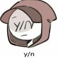 Y/N