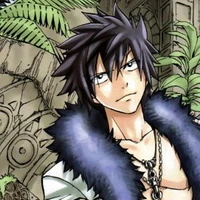 Gray Fullbuster