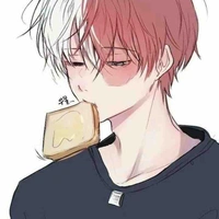 Todoroki shoto 