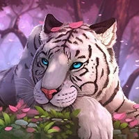 Tora