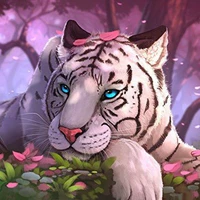 Tora