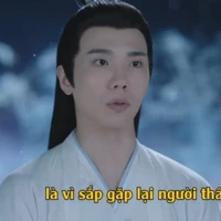Phi Tri