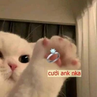 t/g của mọi người đây:>>