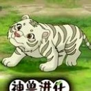 tiểu bạch _kira( dạng thú linh thú asta)