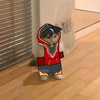 Con t/g Minz lười biếng 👽