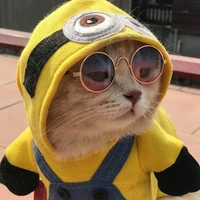 Lớp Truởng {Mèo con minions}