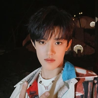 Trương Cực 