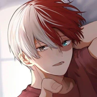 Shoto Todoroki