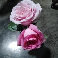 Các cận thần