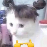 những đồ vật đáng thương