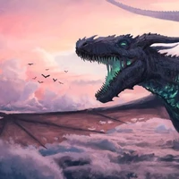 sky dragon