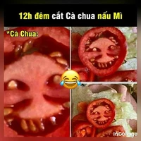 🌚coan tác giả (☞ ͡ ͡° ͜ ʖ ͡ ͡°)☞🥒🌻