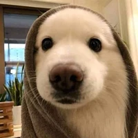 Tác giả nhu nhược:)
