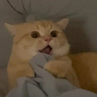 All