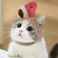 Hệ Thống | Tiểu Miêu