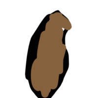 Cứt