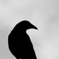 Karasuno(-ai cần trừ)