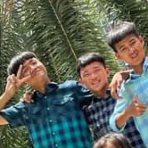 bd