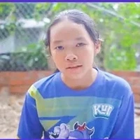 tiểu dương