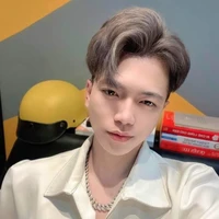 Hoài Việt [@𝐌𝐫𝐕ị𝐭 🦆]