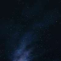 Tất Cả Nhân Vật