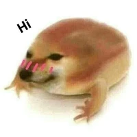 tác giả cuti👽