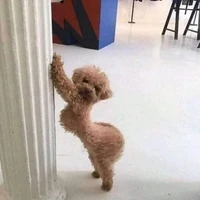cộng đồng nhân vật phụ