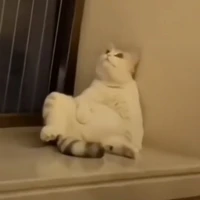 patbot
