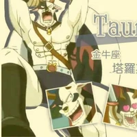TAURUS