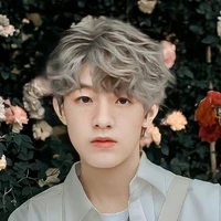 trương trạch vũ