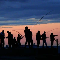 Người dân tổng hợp