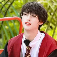 Đinh Trình Hâm -Em
