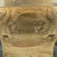 ？？？