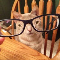 。。。
