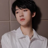 Hạ Tuấn Lâm