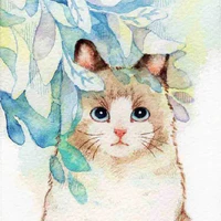 hệ thống